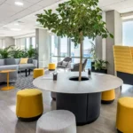 Sylwester Jezierski Transitions from OANDA to AvaTrade