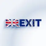 Brexit Millionaire